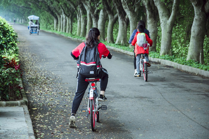 西奧多公益植樹活動(dòng)